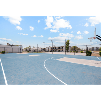 Basketball court
